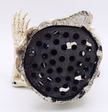 The Miser Cast Iron Skull Bank