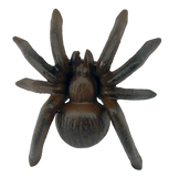 Brown Cast Iron Spider