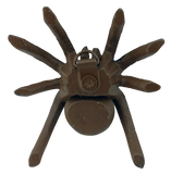 Brown Cast Iron Spider