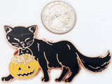 Trick-or-Treat Kitty