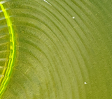 Extra Large Vaseline Glass Serving Bowl